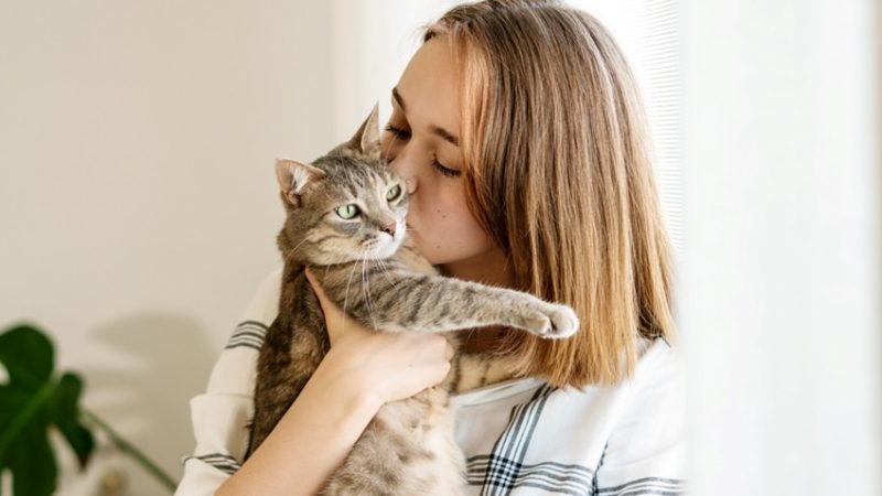 Secret Tips to Give Your Pets a Shiny Coat